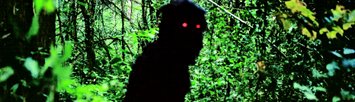 Uncle Boonmee Who Can Recall His Past Lives